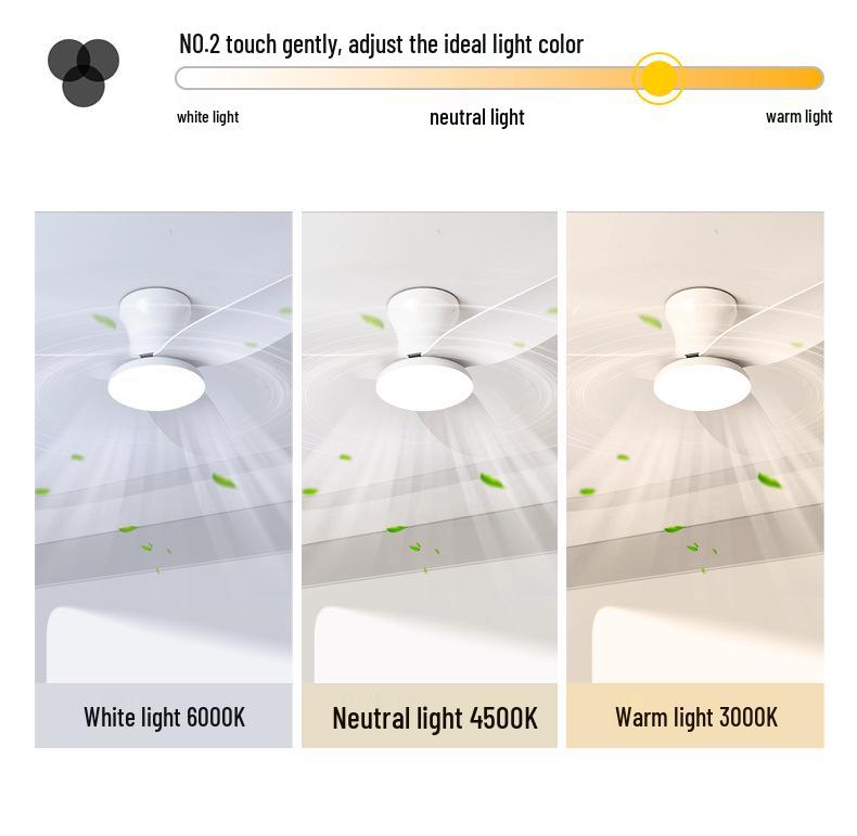 2025 Nordic Ceiling Fan Light: Variable Frequency, Compact Design, Suitable for Bedroom - Meets Japanese & American Standards