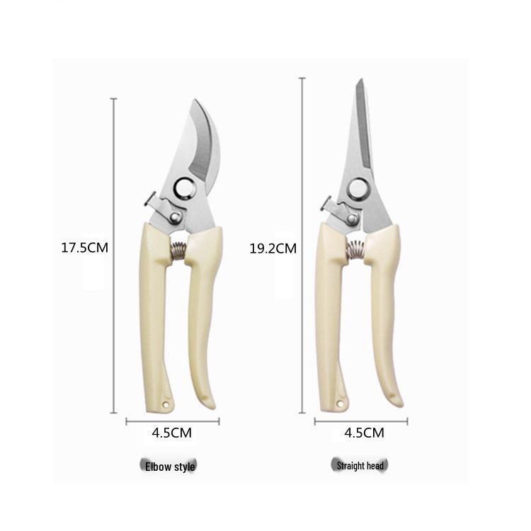 Garden Floral Art Pruning Shears - Branch and Flower Pruners for Horticulture