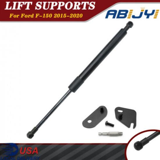 

For Ford F150 Pickup 2015- Rear Tailgate Assist Slowdown Gas Strut Damper