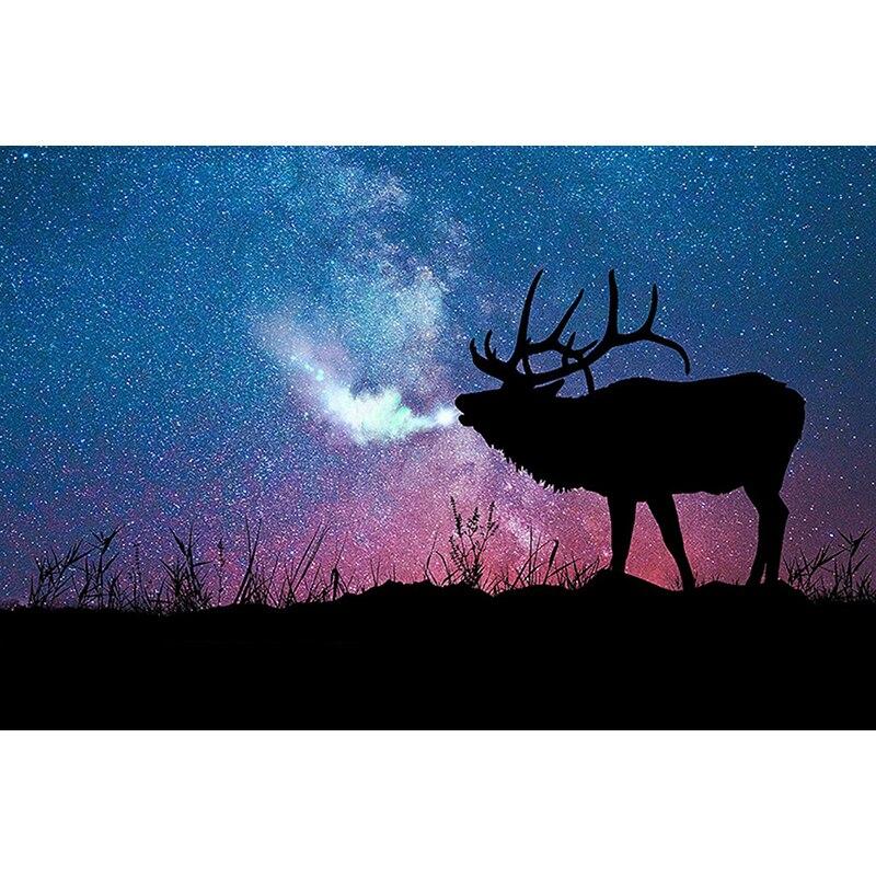 DIY Starry Sky 5D Diamond Painting Full Round Drill  Diamond Embroidery Cross Stitch Kits Mosaic Home Decor Wall Art Decor