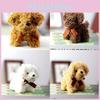 Adorable Teddy Dog Plush Keychain Miniature Stuffed Animal Bag Accessory 12cm