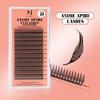 Split Tips YY Lashes 3D 4D 5D W-Shape Premade Clover Pestaas Premium Weave Cils Lashes Fans YY Lash Extension Trays