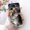 For Realme 16 Pro Plus Case RMX5131 Cute Cat Peacock Painted Cover Soft Slim Phone Case For Realme 16 Pro Realme16 Pro+ 5G Shell
