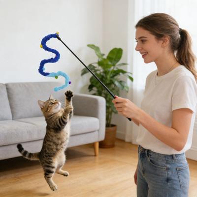 Cat Wand Toy Interactive Cat Teaser with Bell Colorful Pom Poms Plush Tail Cat Teaser Wand for Indoor Cats Kittens