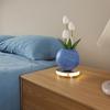 Tulip Planet Night Light Dimmable Touch Lamp with Aromatherapy Diffuser USB Rechargeable Artificial Flower