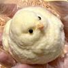 Yellow Big Chicken Plush Silicone SquishyPinching Toys Cute Hen Chicks Taba Squeezing Toy Fuzzy Fidget Toy Release Hand Stress