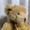 [USED] Bear stuffed animal cute teddy bear precious