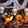 10 Stück Halloween Mini-Schädelkopf Tischdekoration Furchterregende Schädelköpfe Gruselige Requisiten Halloween Dekoration Requisiten Schädel Dekoration