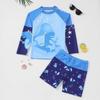 Boys' Long Sleeve Two-Piece Rash Guard Swimsuit