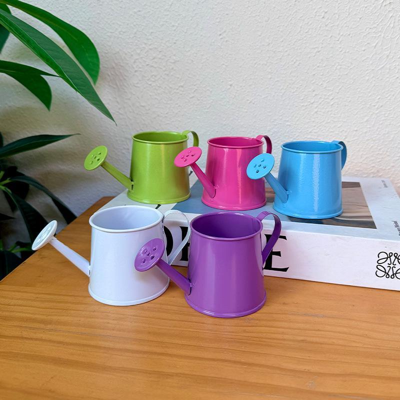 Vintage Small Metal Watering Can Mini Long Spout Pot for Indoor House Potted Flowers Home Balcony Plant Care Tool
