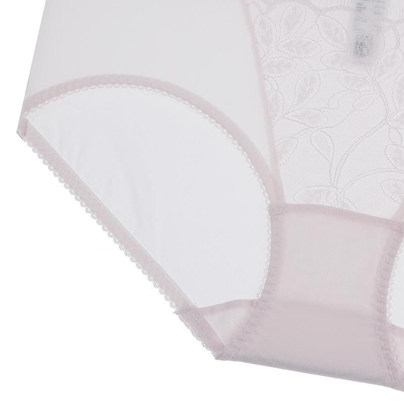 Aimer Forest Whisper Mid-Waist Briefs