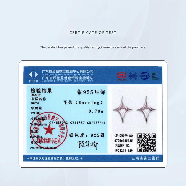 S925 Sterling Silver Star Stud Earrings, Individual Cold Wind Hollow Star Stud Earrings And Ear Jewelry