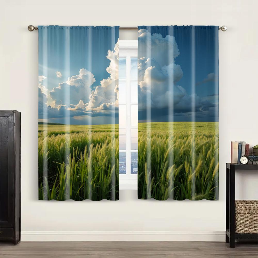 2pc, Curtain A History of Clear Grasslands and Heavy Rain Clouds1 Machine Washable Polyester,Without Electricity Versatile Use