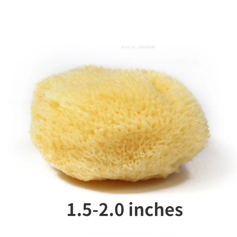 

Natural Greek Sponge Watercolor Painting with Absorbent Sponge Wiping Pen Painting Special Texture Production Cleaning Tool