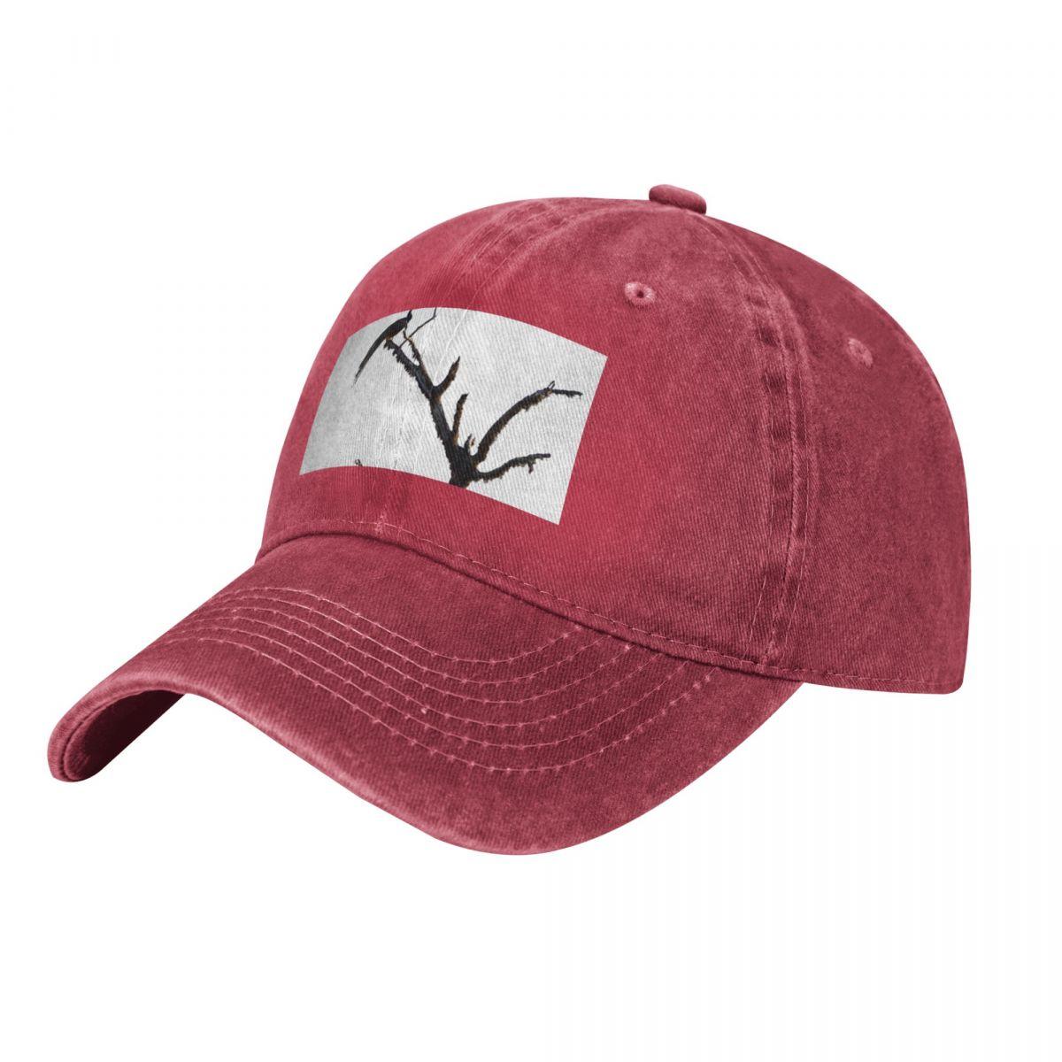 

Peacock Baseball Caps Vintage Denim Washed Headwear Unisex Style Outdoor Running Hats One Size