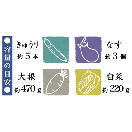 Risu Pickle Container, Square, with Weight, White, 2.1L (1.3kg Weight), Pickle Mate S-2 Mini Recipe Included