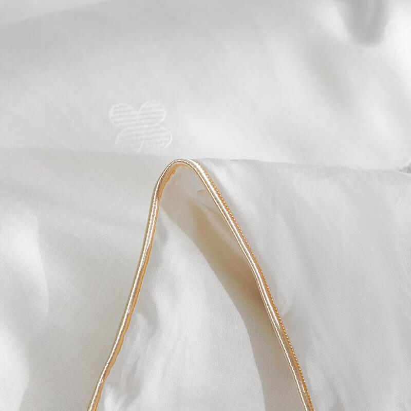 Jinsili Premium Mulberry Silk Quilt