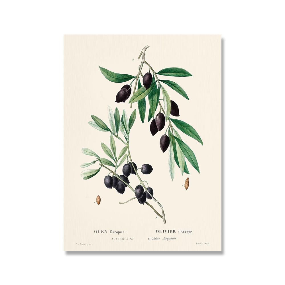 Vintage Retro Fruit Poster Avocado Strawberry Scandinavian Canvas Painting Wall Art Pictures Prints for Kitchen Room Decor