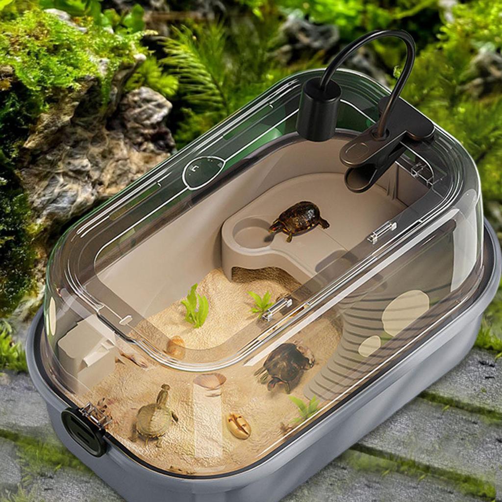 Spacious Turtle Enclosure with Basking Area for Reptiles And Amphibians