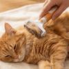 Double-Sided Pet Grooming Brush Professional Cat Cleaning Comb Dog Knot Opening Comb  Pet Massage