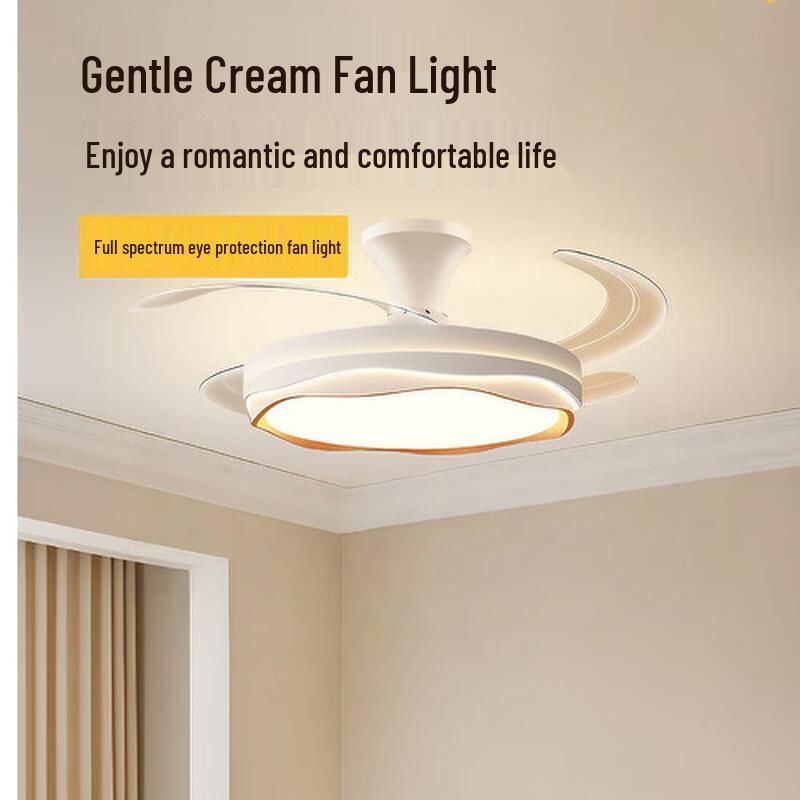 Modern Decorative Ceiling Fan Light