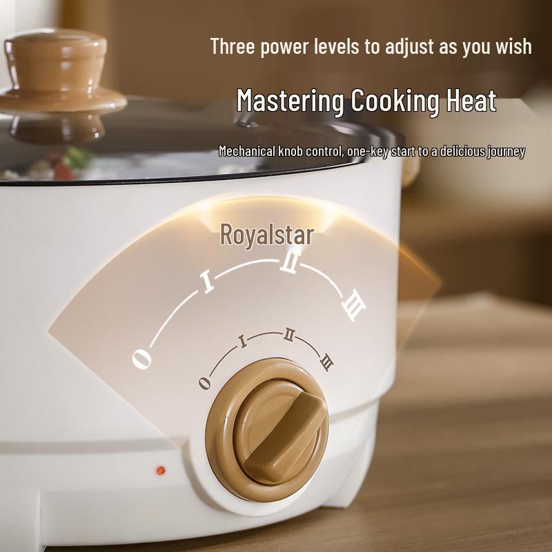Rongshengda Multifunctional Electric Hot Pot: Steaming & Cooking All-in-One for Household Kitchens