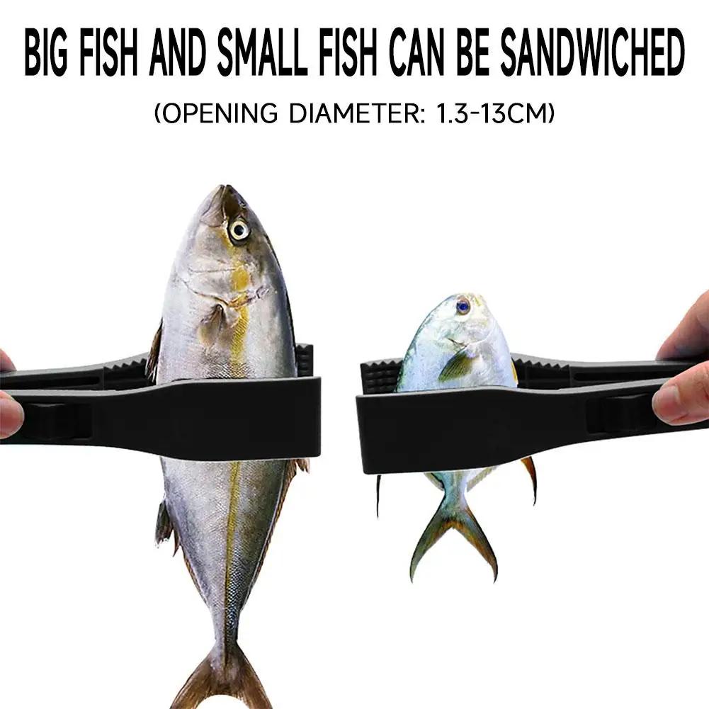 Pinze per pesci leggeri Accessori per la pesca Tutto per le forniture per la pesca Attrezzatura per utensili portatili Pesca. Accessori Sport Intrattenimento