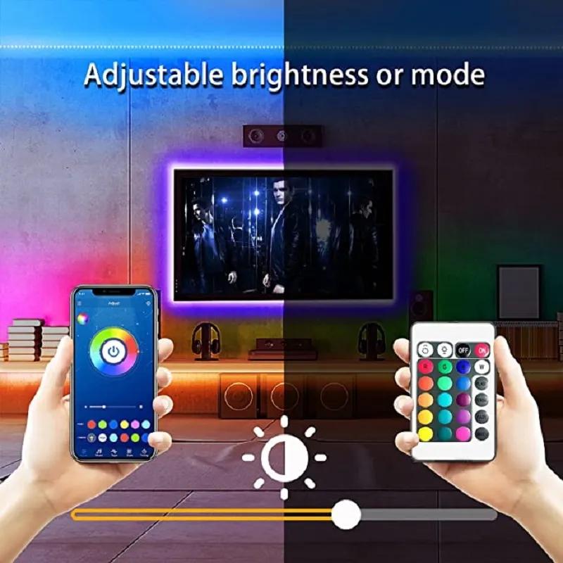 24 Button Bluetooth Light with DC 5VRGB Remote Control Light with 5050 Bluetooth Control Neon Light for TV Background Wall, Bedroom Decoration