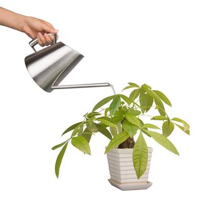 Children's 400ML Stainless Steel Long Spout Watering Can for Plants and Succulents
