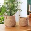 Nordic Minimalist Rattan Floor-Standing Flower Pot for Large Indoor Plants