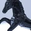 Knights Playset for Boys with Action Models