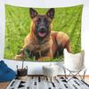 Belgischer Schäferhund Malinois Wandteppich Ästhetische Heimdekoration Wandteppiche für Wohnzimmer Schlafzimmer