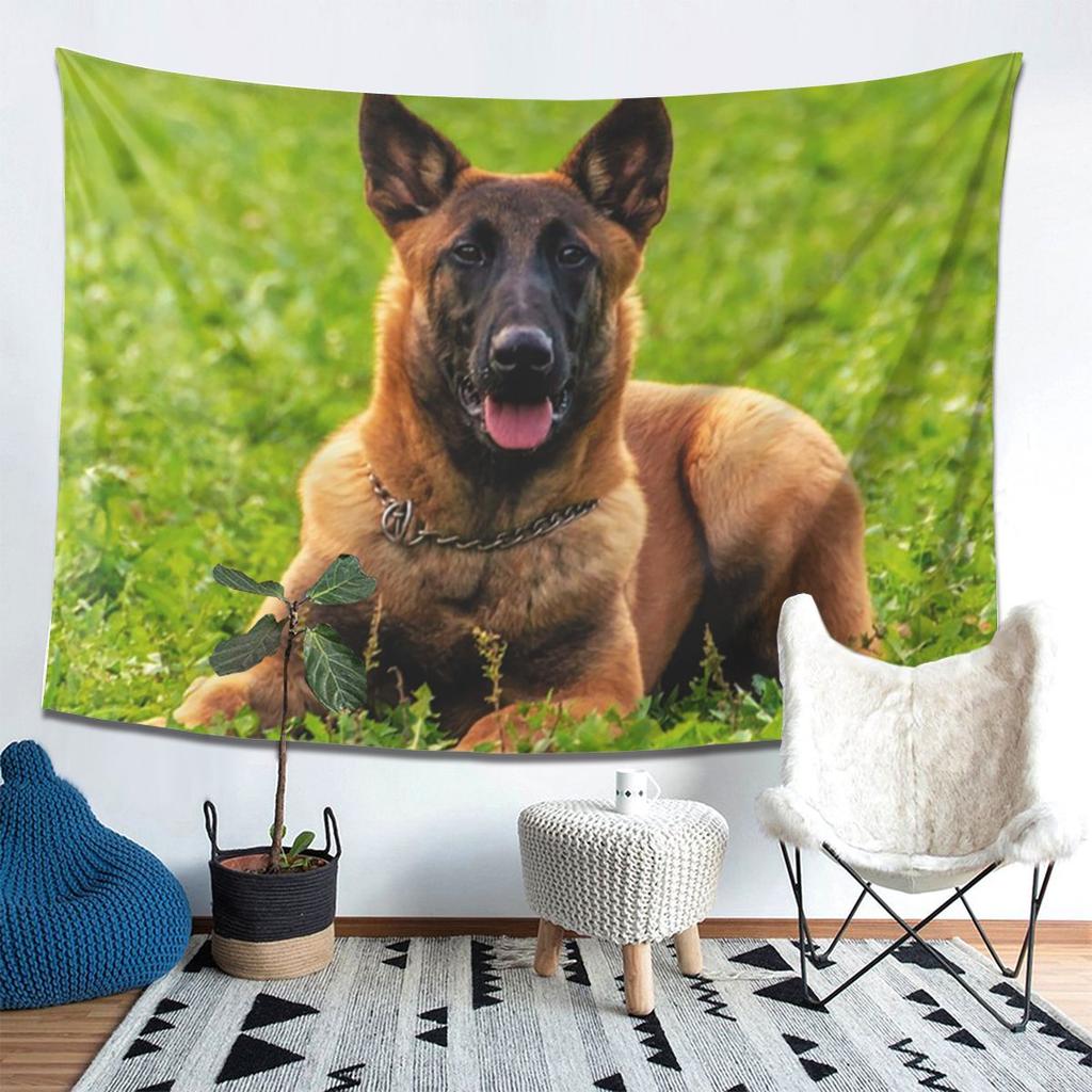 Belgischer Schäferhund Malinois Wandteppich Ästhetische Heimdekoration Wandteppiche für Wohnzimmer Schlafzimmer
