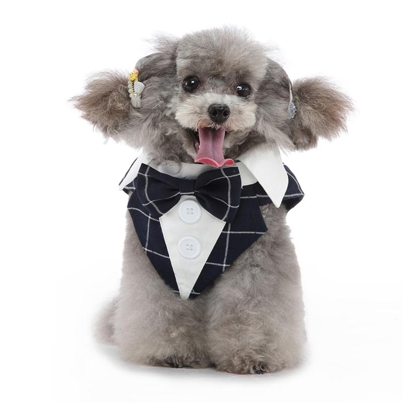 Luxurious Male Pet Costume for Small Dogs High Quality Puppy Dog Tailcoat Suit Dress Chihuahua Maltese Mascotas Wedding Clothing