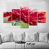 5 Panels Red Flower Landscape Posters Scenery Cuadro Canvas Prints Wall Art for Living Room Decorative Paintings No Frame