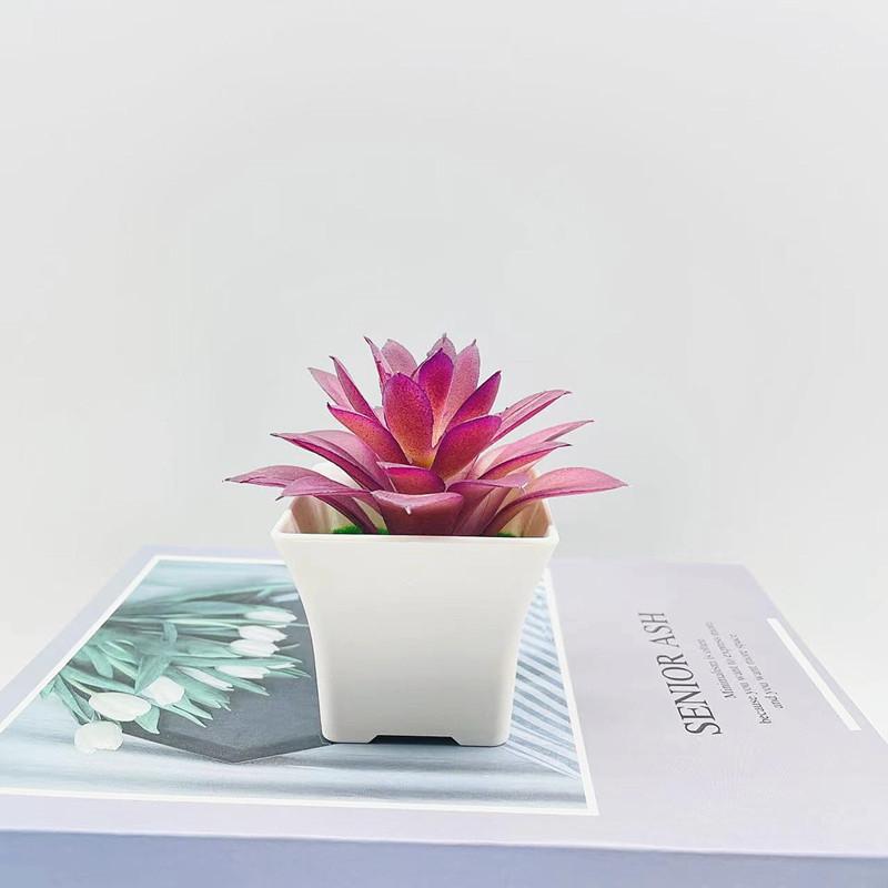 Simulation Crassula Muscosa Echeveria Laui Succulent Plant Bonsai Artificial
