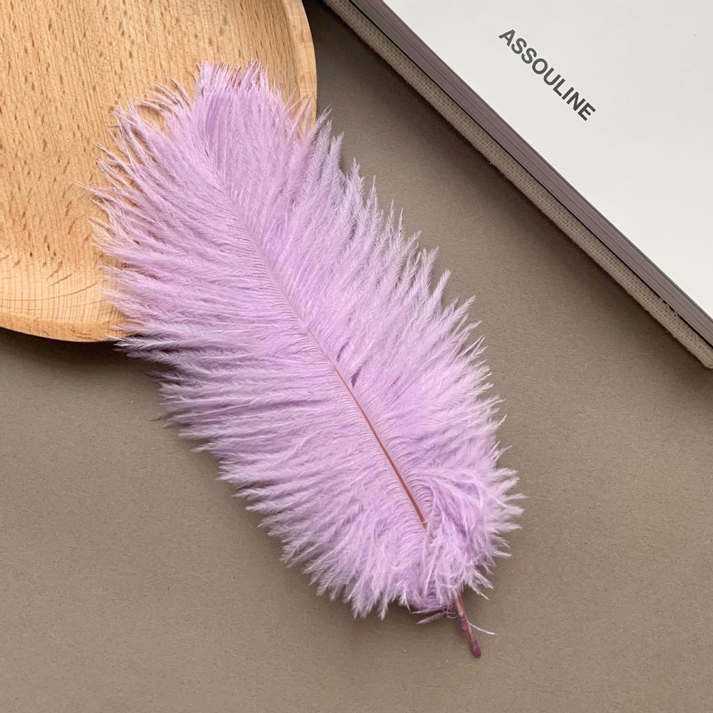 Color ostrich hair 15-20CM ostrich feather Internet celebrity photo background wall feather cake flower arrangement DIY decoration