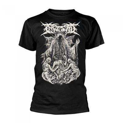 Ingested Unisex Adult Death Sermon Euro Tour 2020 T-Shirt