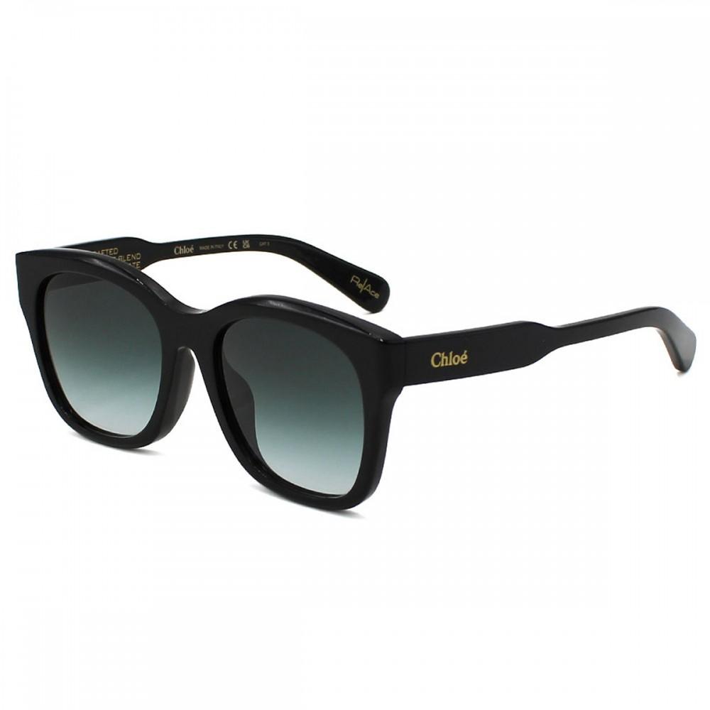 Chloe Sunglasses Unisex Black CH0194SK-001