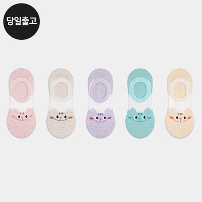 PG Women's/Student Squirrel Slippers (5 Pairs) Set Daily Fake Socks Unique