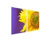 Glass Protective Plate for the Stove 2x45x52 Flower