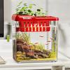 New 2 in 1 Fish Tank with Lid and Light Transparent Hydroponic Tank Multi-functional PET ABS Desktop Aquarium Fish Keeping