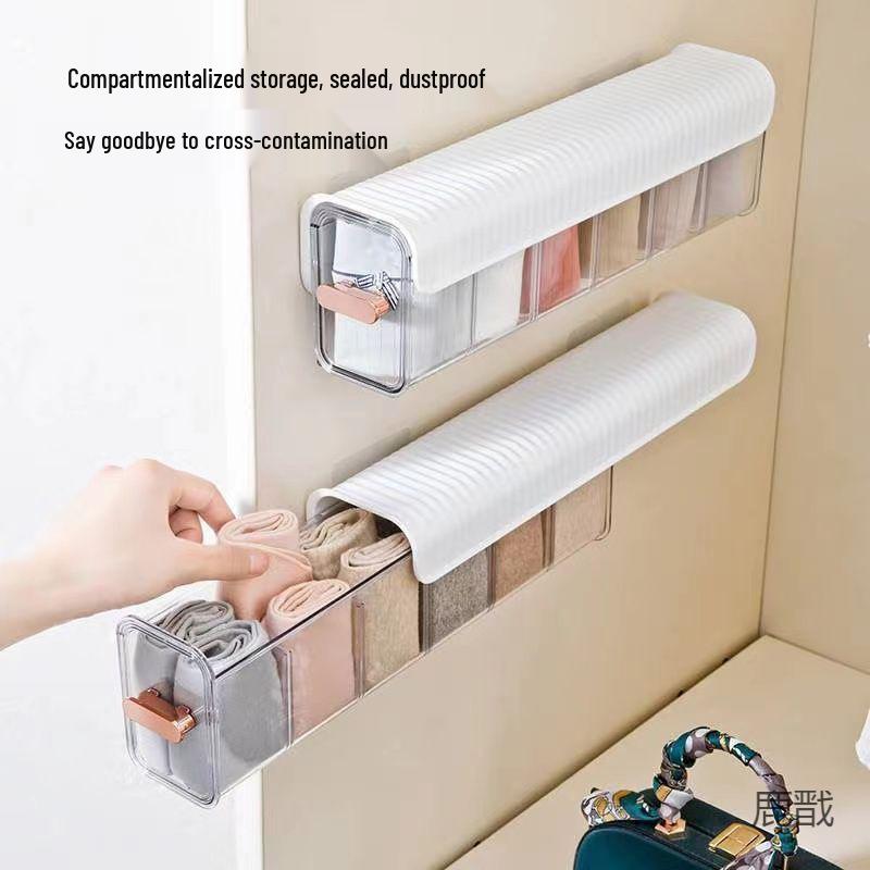 Wall-Mounted Transparent Organizer Box for Cables, Socks, and More