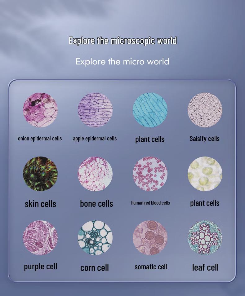 Kinder Doppelhelix Mikroskop: Pädagogisches Physik- & Biologie-Spielzeug für Grund- & Mittelschüler