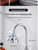 Stainless Steel Telescopic Rotatable Pull-Out Kitchen Faucet with Dual Water Outlets