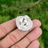 Thanks Giving Day Deal Natural Plume Agate 925 Silver Promise Sister Bezel Ring