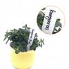 Plant Markers Plates Reusable Garden Labels 100Pcs