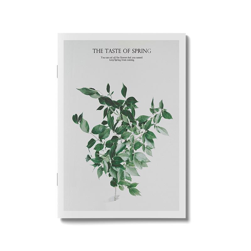 Minimalist English Magazine Prop Books for Photography, Home Decor, and B&B Styling