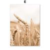 Beige Plant Grass Leaves Dandelion Reeds Posters And Prints Canvas Painting Nordic Wall Art Pictures For Living Room Home Decor