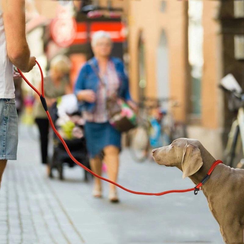 Dog Training Leash P Leash, Durable Nylon Material Heavy Duty, Anti-Pull Comfortable Sturdy Pet Traction Rope Pet Supply